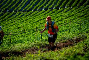 BIB: 
                            <button type="button" onclick="openModal(19160663)" class="btn btn-primary btn-sm float-right btn-popup" data-toggle="modal" data-target=".modal-high-quality">
                        <i class="fas fa-shopping-cart"></i> Add to Cart
                    </button>
                                            <button type="button" onclick="isThisMe(19160663, true)" class="btn btn-success btn-sm float-right btn-popup btn-isme hidden" data-toggle="tooltip" data-placement="bottom" title="นี่คือรูปของคุณใช่ไหม คลิกที่นี่เพื่อเอาเข้าอัลบั้ม">
                        <i class="fas fa-plus"></i> Add to album
                    </button>
                    <button type="button" onclick="isThisMe(19160663, false)" class="btn btn-warning btn-sm float-right btn-popup btn-isnotme hidden">
                        <i class="fas fa-ban"></i> Remove from album
                    </button>